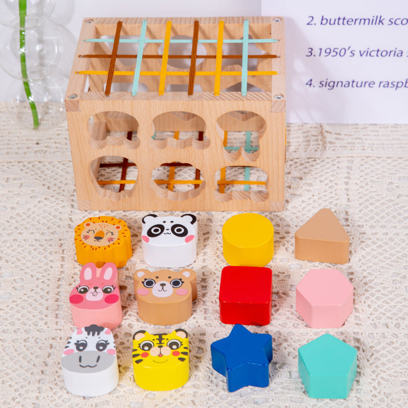 Children's Early Education Shapes Color Cognitive Puzzle Toys